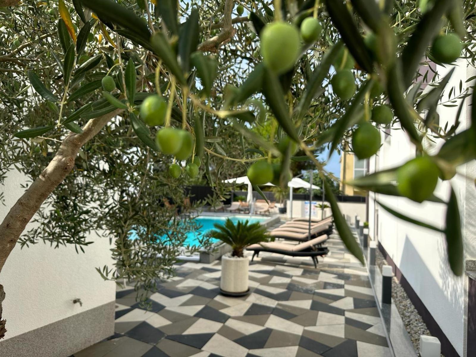 Apartments Laura 1 Privlaka  Luaran gambar